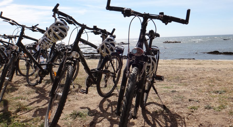 Bicicleta de Montanha