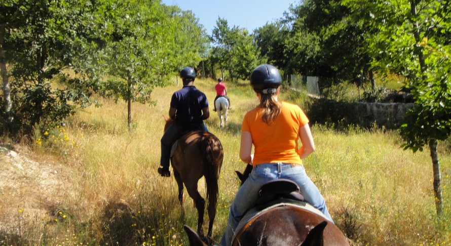 Passeios a Cavalo
